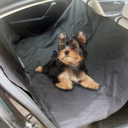 Dog Carriers & Crates