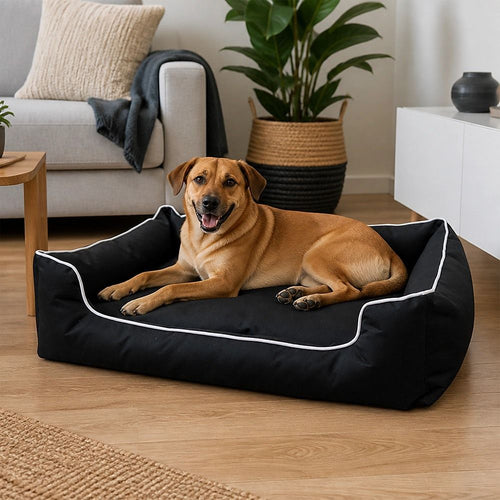 Beds & Bedding