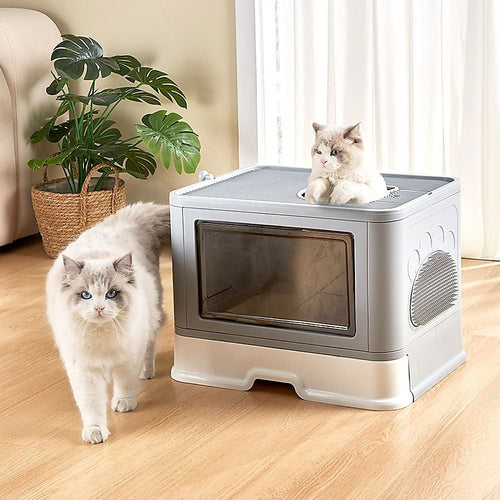 Litter Boxes