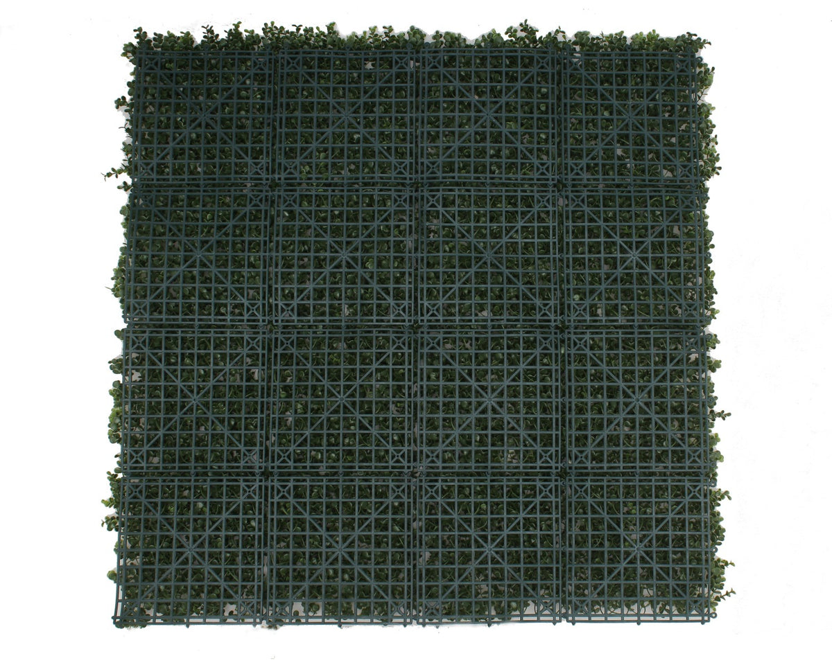 Natural Buxus Hedge Panels UV Resistant 1m x 1m
